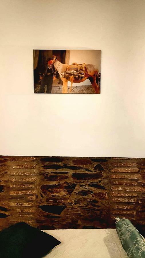 Casa O Chaparrinho Villa Monsaraz Eksteriør billede